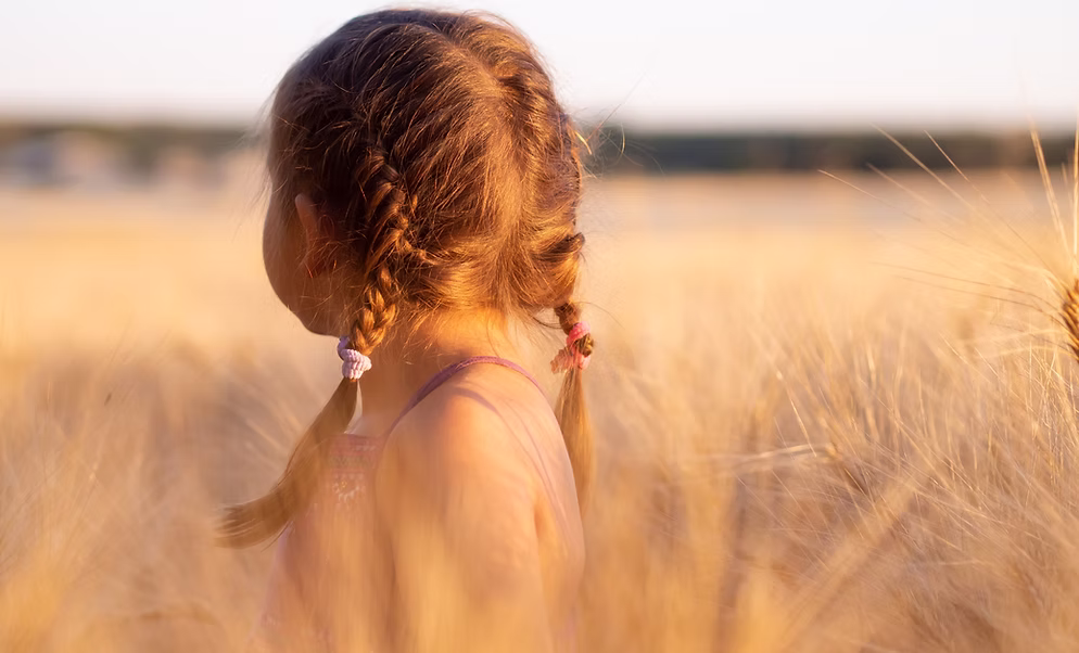 Visual Motor Integration and Perception Skills